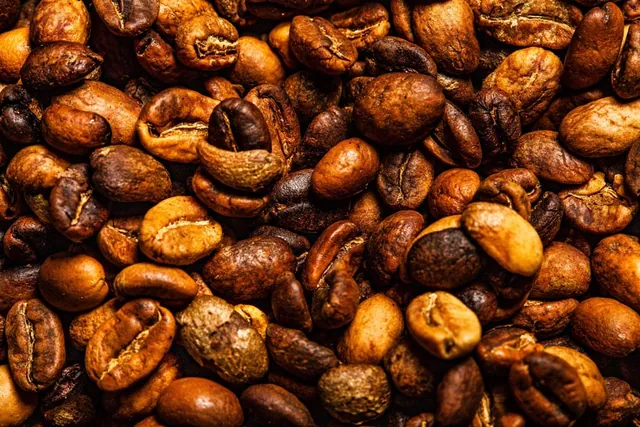Roasted coffee beans and packaging styled with rich, warm light